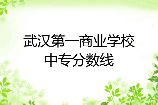 武汉第一商业学校中专分数线