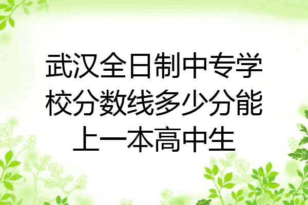 武汉全日制中专学校分数线多少分能上一本高中生