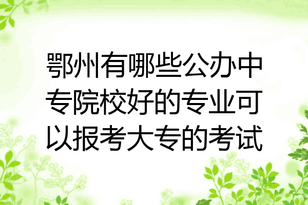 鄂州有哪些公办中专院校好的专业可以报考大专的考试