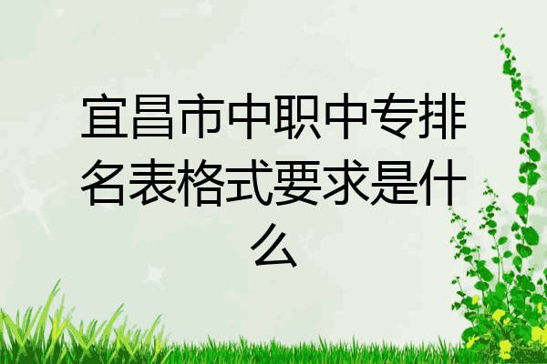宜昌市中职中专排名表格式要求是什么