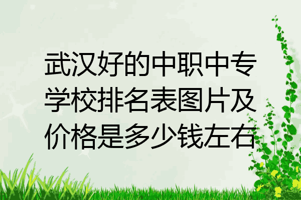武汉好的中职中专学校排名表图片及价格是多少钱左右