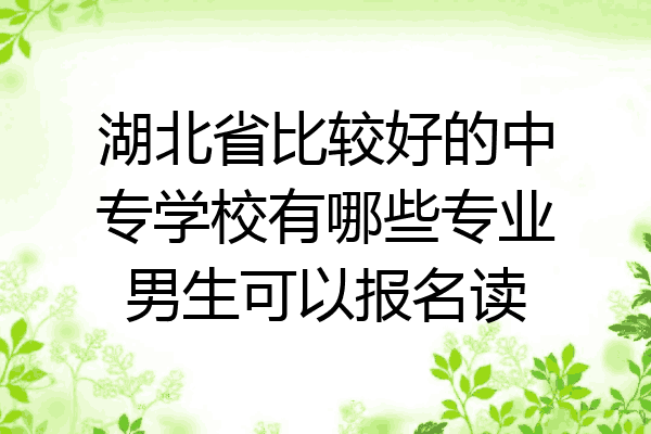 湖北省比较好的中专学校有哪些专业男生可以报名读