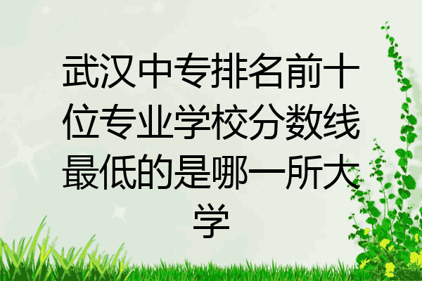武汉中专排名前十位专业学校分数线最低的是哪一所大学