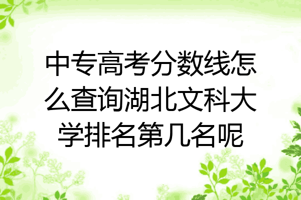中专高考分数线怎么查询湖北文科大学排名第几名呢