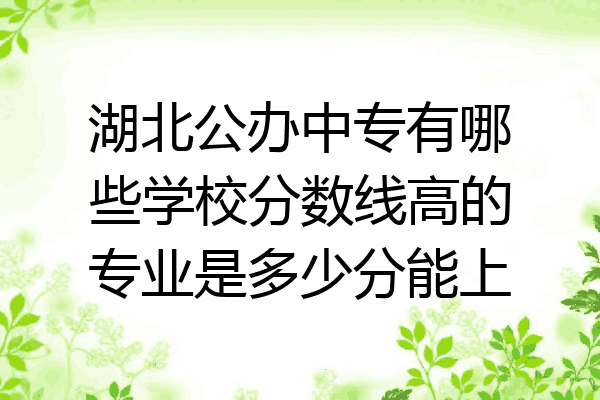 湖北公办中专有哪些学校分数线高的专业是多少分能上