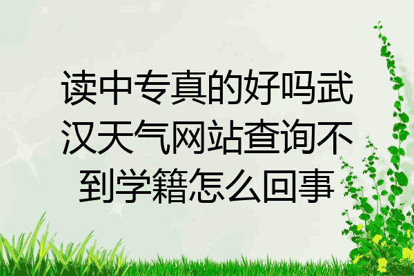 读中专真的好吗武汉天气网站查询不到学籍怎么回事