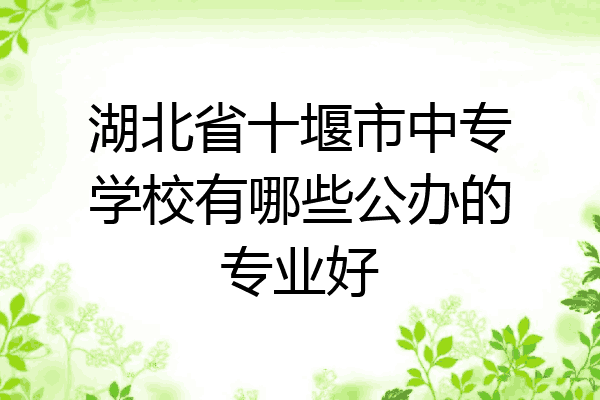 湖北省十堰市中专学校有哪些公办的专业好