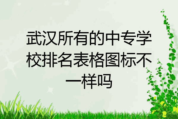 武汉所有的中专学校排名表格图标不一样吗