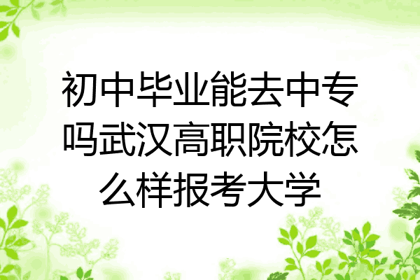 初中毕业能去中专吗武汉高职院校怎么样报考大学