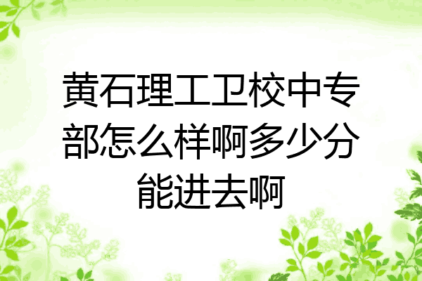 黄石理工卫校中专部怎么样啊多少分能进去啊