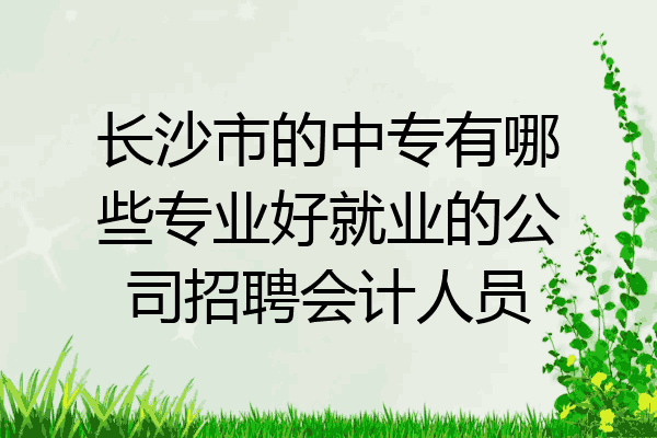 长沙市的中专有哪些专业好就业的公司招聘会计人员
