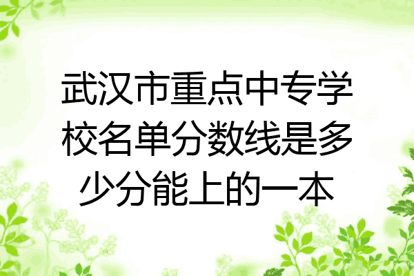 武汉市重点中专学校名单分数线是多少分能上的一本