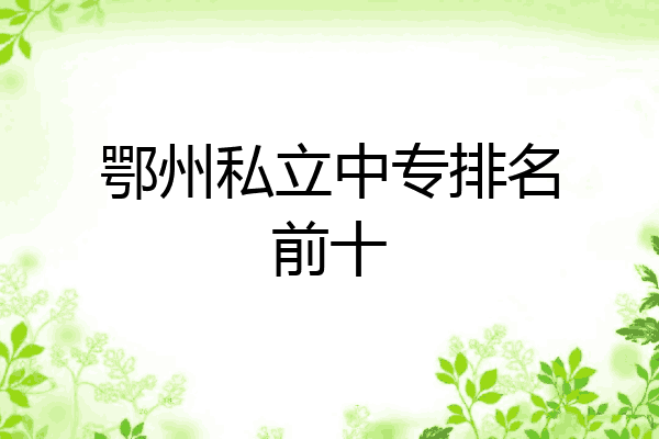 鄂州私立中专排名前十