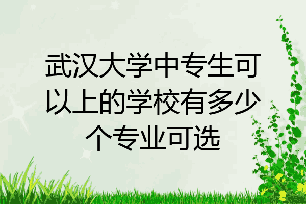 武汉大学中专生可以上的学校有多少个专业可选