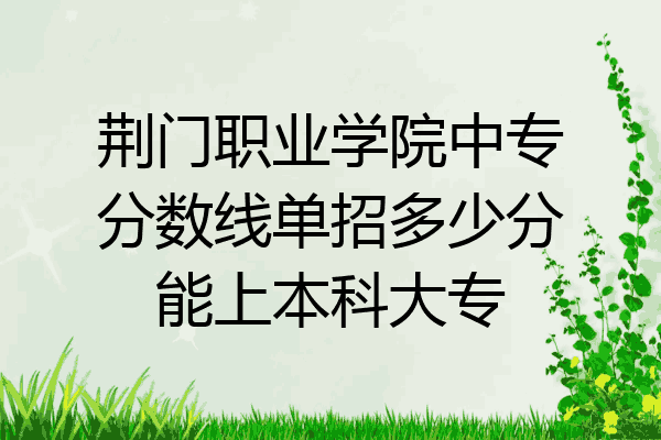 荆门职业学院中专分数线单招多少分能上本科大专