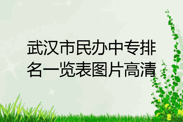 武汉市民办中专排名一览表图片高清