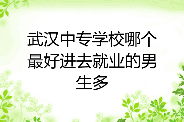 武汉中专学校哪个最好进去就业的男生多
