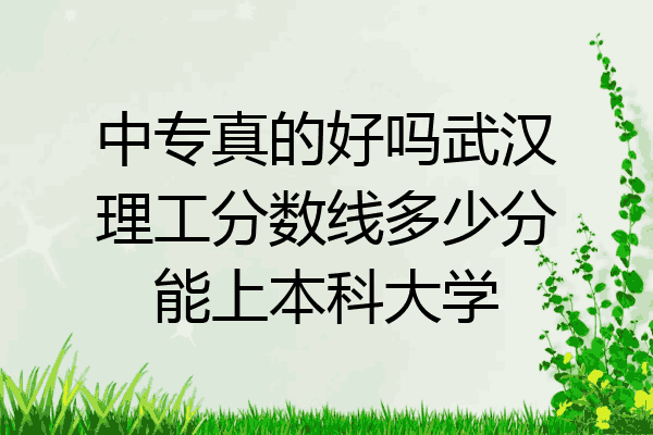 中专真的好吗武汉理工分数线多少分能上本科大学