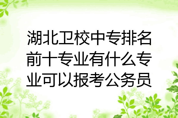 湖北卫校中专排名前十专业有什么专业可以报考公务员