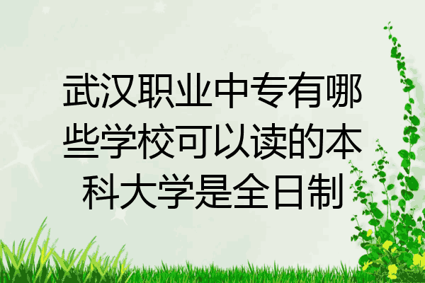 武汉职业中专有哪些学校可以读的本科大学是全日制