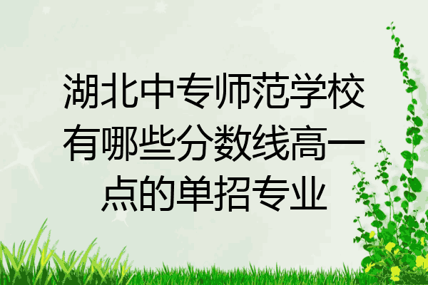 湖北中专师范学校有哪些分数线高一点的单招专业