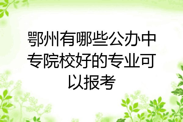 鄂州有哪些公办中专院校好的专业可以报考