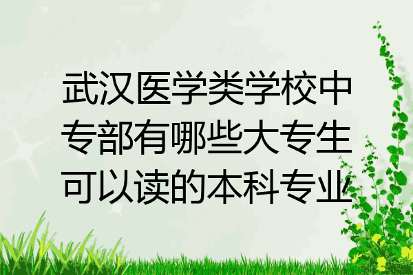 武汉医学类学校中专部有哪些大专生可以读的本科专业