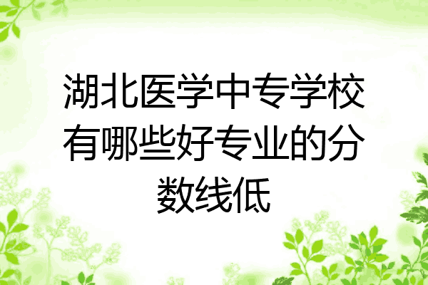 湖北医学中专学校有哪些好专业的分数线低