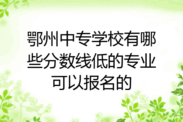 鄂州中专学校有哪些分数线低的专业可以报名的