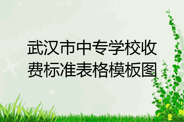 武汉市中专学校收费标准表格模板图