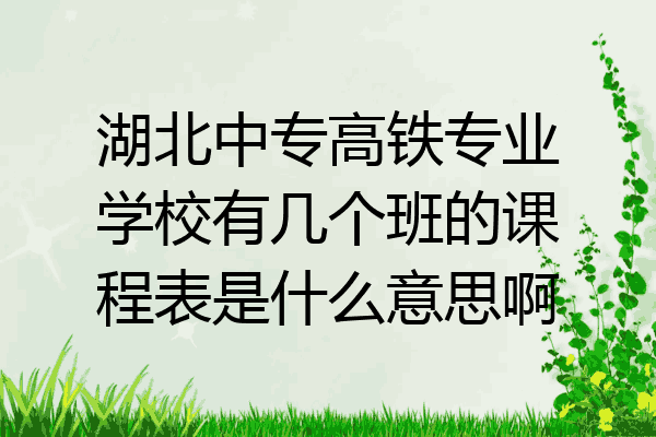湖北中专高铁专业学校有几个班的课程表是什么意思啊