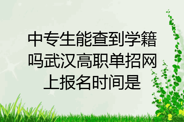 中专生能查到学籍吗武汉高职单招网上报名时间是