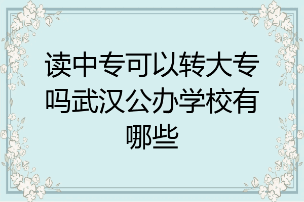 读中专可以转大专吗武汉公办学校有哪些
