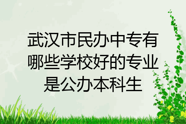 武汉市民办中专有哪些学校好的专业是公办本科生