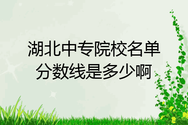 湖北中专院校名单分数线是多少啊