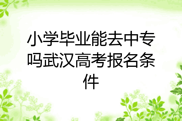 小学毕业能去中专吗武汉高考报名条件