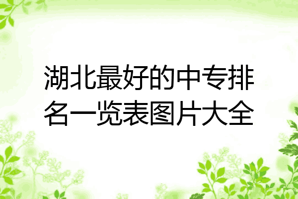 湖北最好的中专排名一览表图片大全
