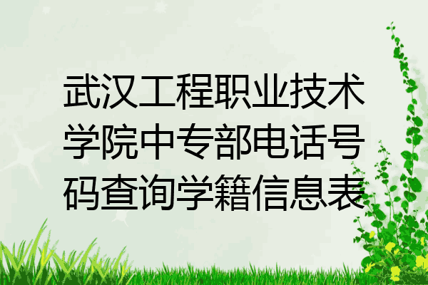 武汉工程职业技术学院中专部电话号码查询学籍信息表