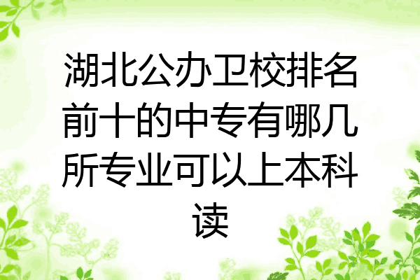 湖北公办卫校排名前十的中专有哪几所专业可以上本科读