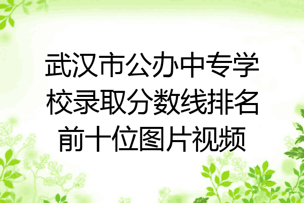 武汉市公办中专学校录取分数线排名前十位图片视频
