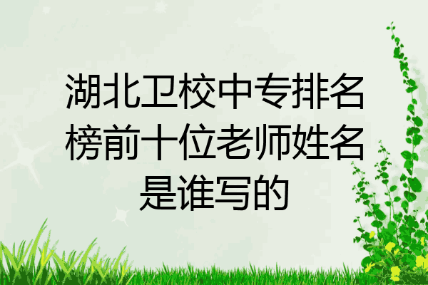 湖北卫校中专排名榜前十位老师姓名是谁写的