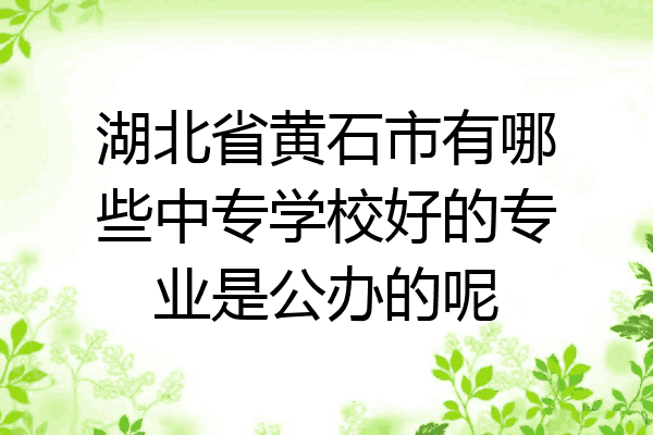 湖北省黄石市有哪些中专学校好的专业是公办的呢