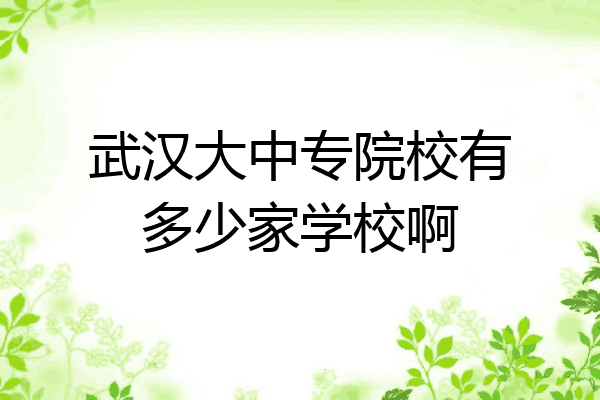 武汉大中专院校有多少家学校啊