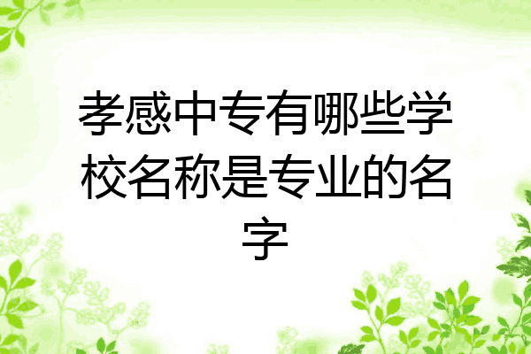 孝感中专有哪些学校名称是专业的名字