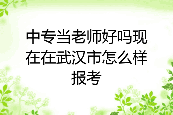 中专当老师好吗现在在武汉市怎么样报考