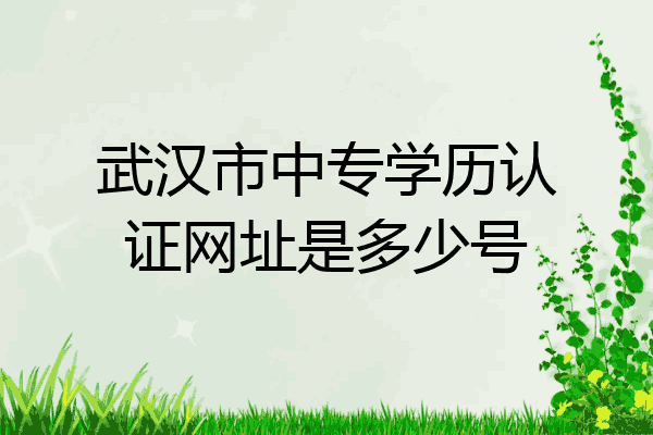 武汉市中专学历认证网址是多少号