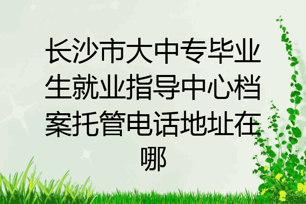 长沙市大中专毕业生就业指导中心档案托管电话地址在哪