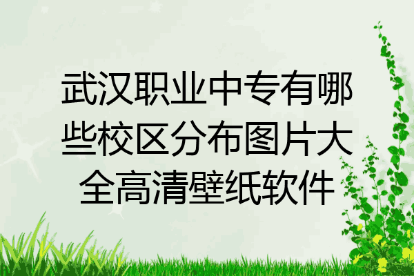武汉职业中专有哪些校区分布图片大全高清壁纸软件
