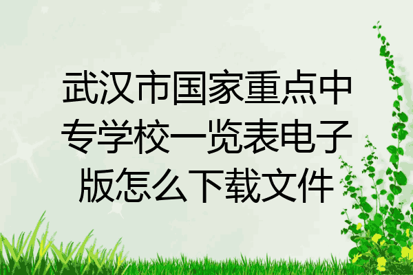 武汉市国家重点中专学校一览表电子版怎么下载文件