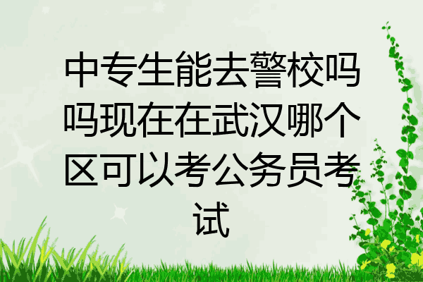 中专生能去警校吗吗现在在武汉哪个区可以考公务员考试